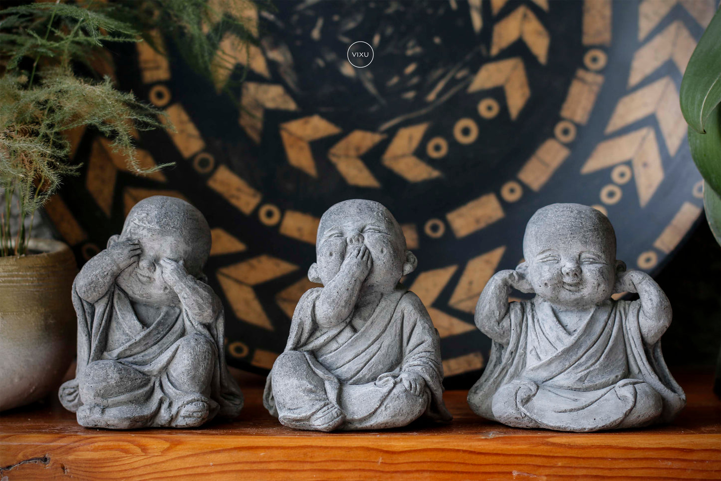 Virtud Monjes Bebés