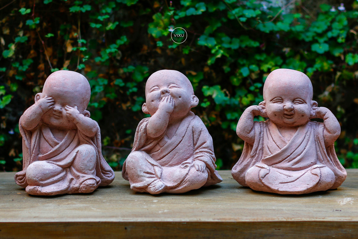 Virtud Monjes Bebés