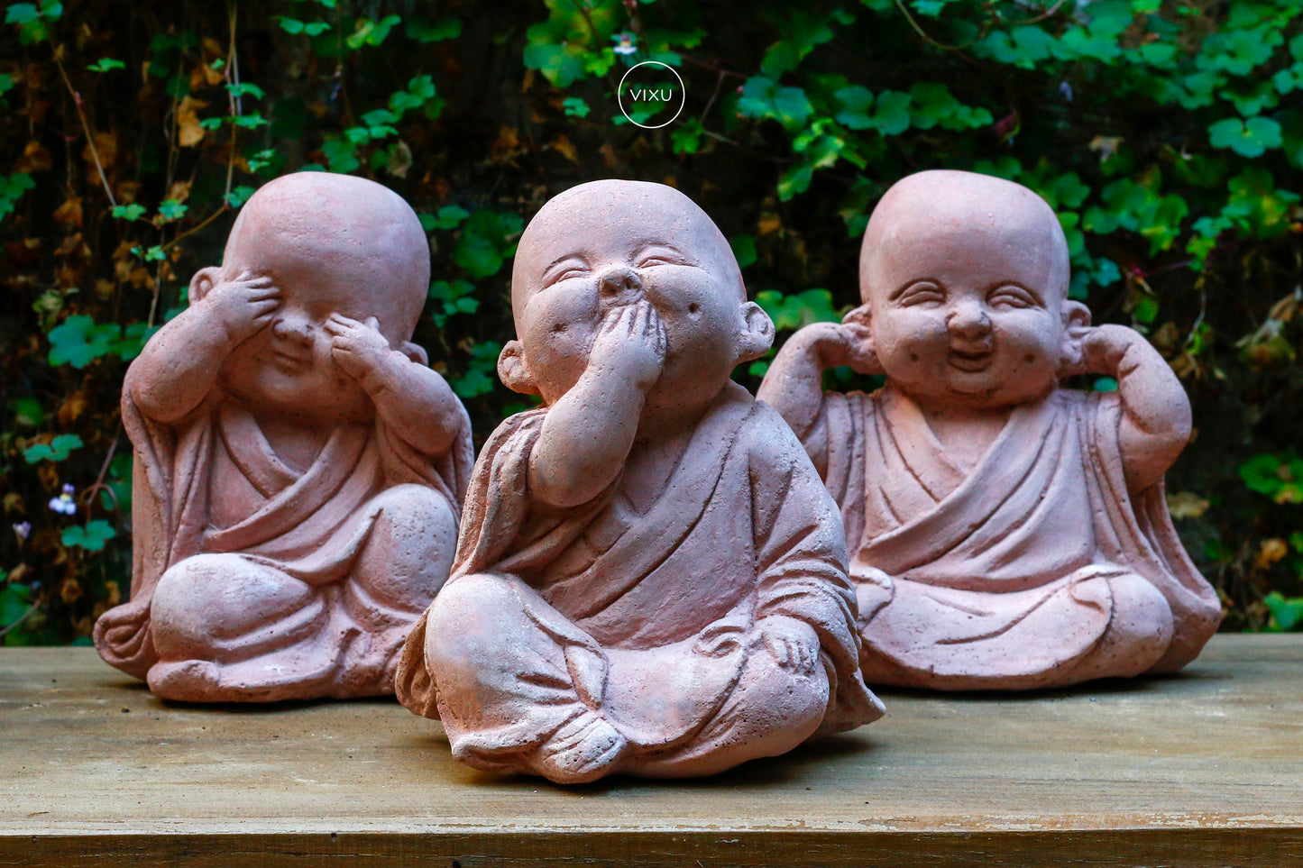 Virtud Monjes Bebés
