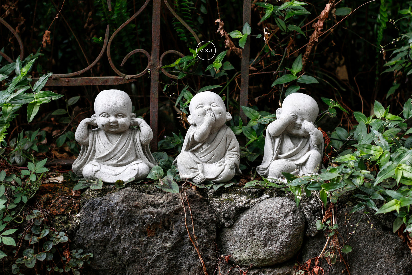 Virtud Monjes Bebés