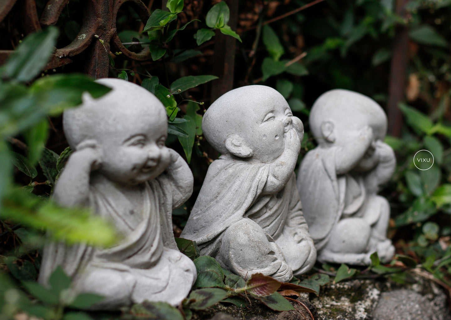 Virtud Monjes Bebés
