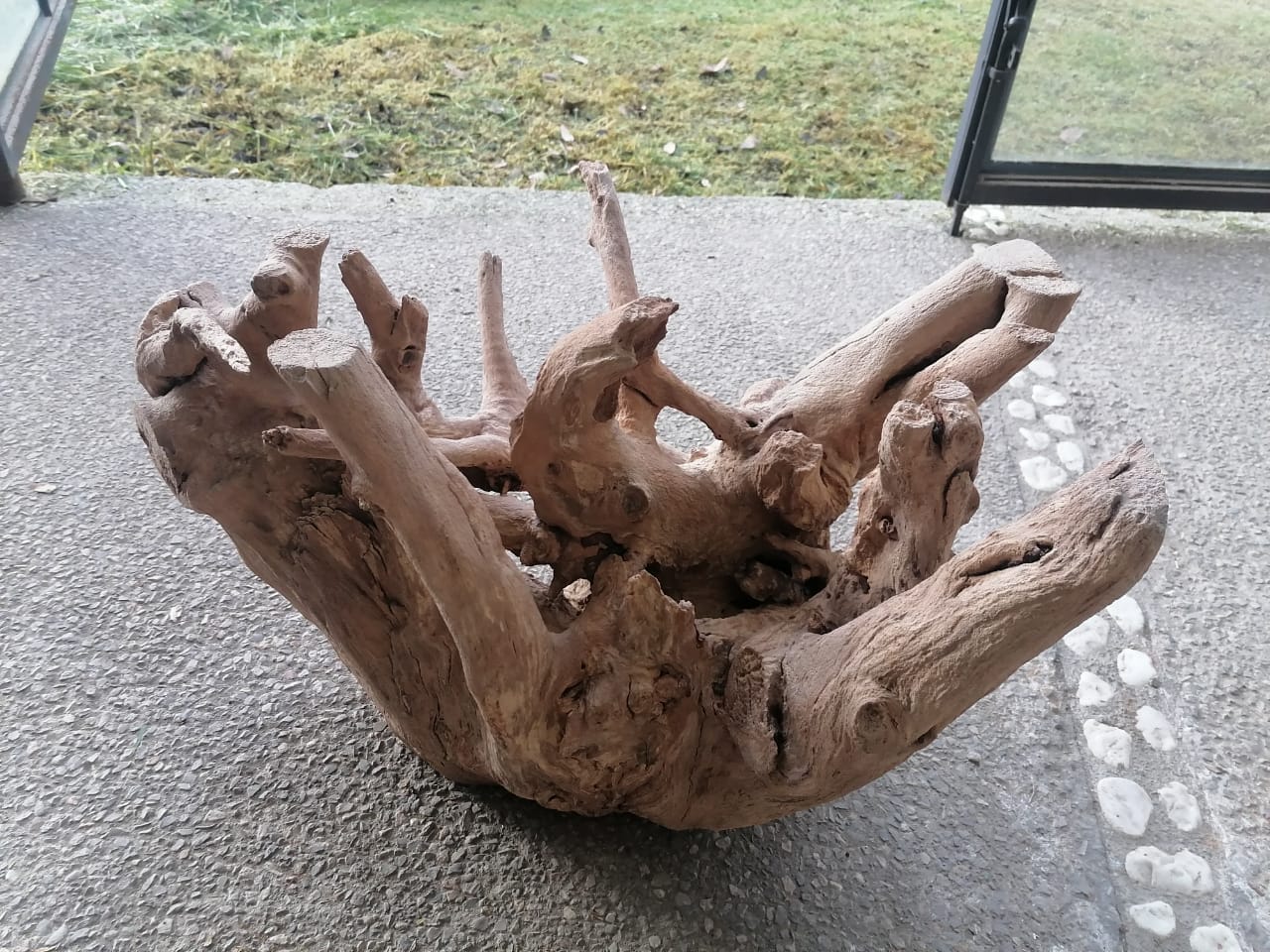 Mesa Tronco Raíz de Madera - Mesa de Centro