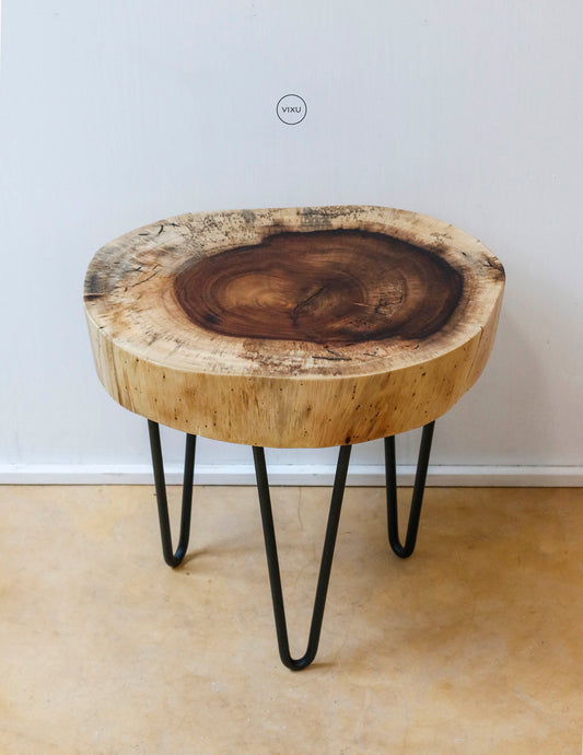 Mesa de Tronco de Parota